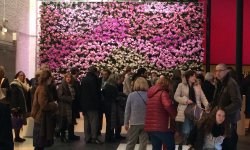 BRAFA Art Fair 2017