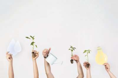 Seven Creative Climate Trends